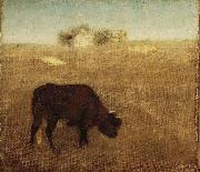 Evening Glow, The Old Red Cow